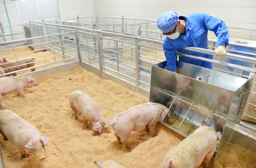 A301動物飼育室