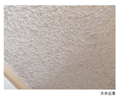 吹付けひる石