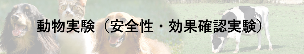 動物試験