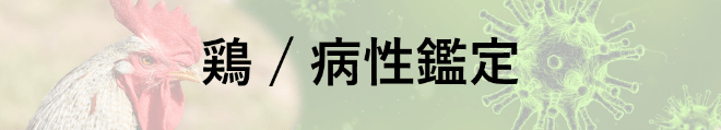 鶏病状検査