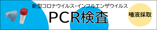 ></p><br>
<h4 class=