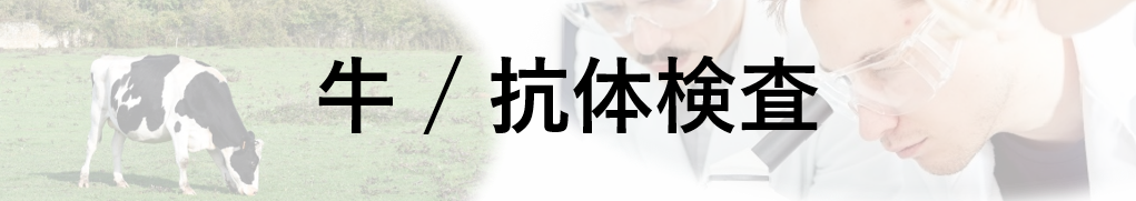 牛/抗体検査