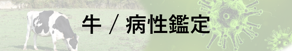 牛病状検査