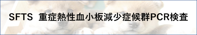 SFTS  重症熱性血小板減少症候群PCR検査