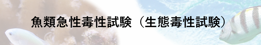 魚類急性毒性試験