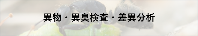 異物・異臭検査・差異分析