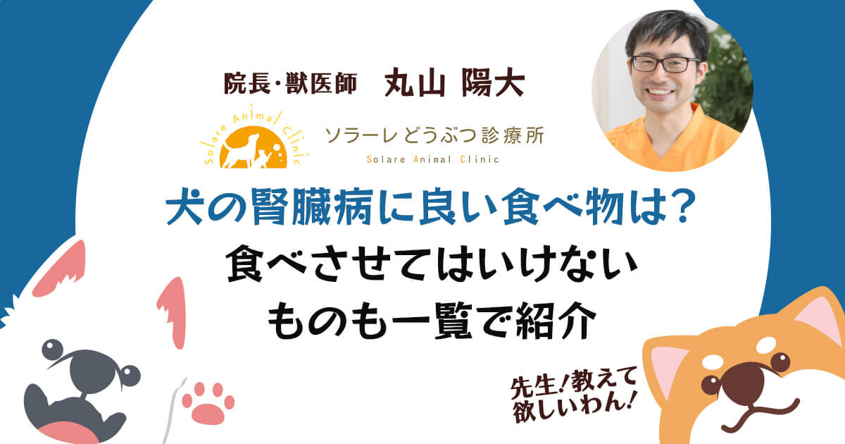 犬の腎臓病に良い食べ物は？食べさせてはいけないものも一覧で紹介