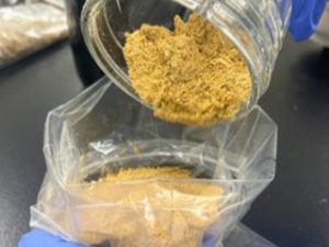 ドッグフードの成分分析の検査