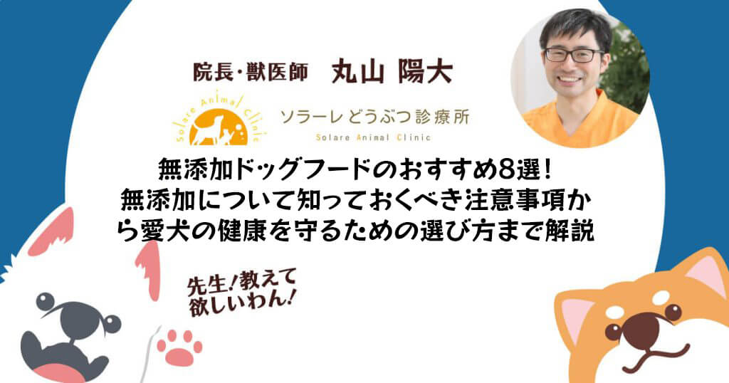 無添加ドッグフードのおすすめ8選！無添加について知っておくべき注意事項から愛犬の健康を守るための選び方まで解説