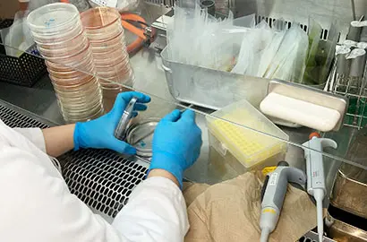 食品衛生ラボラトリー事業部 食品検査課 | 食環境衛生研究所