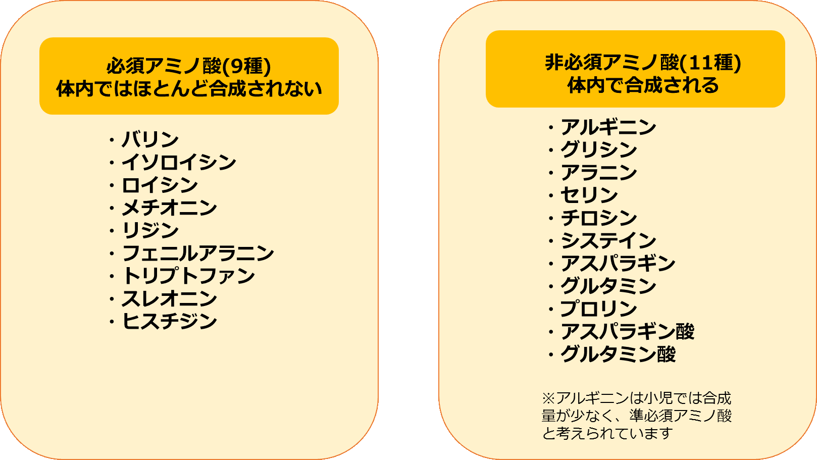 図１タンパク質を構成する20種類のアミノ酸.png