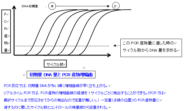 図２.PNG