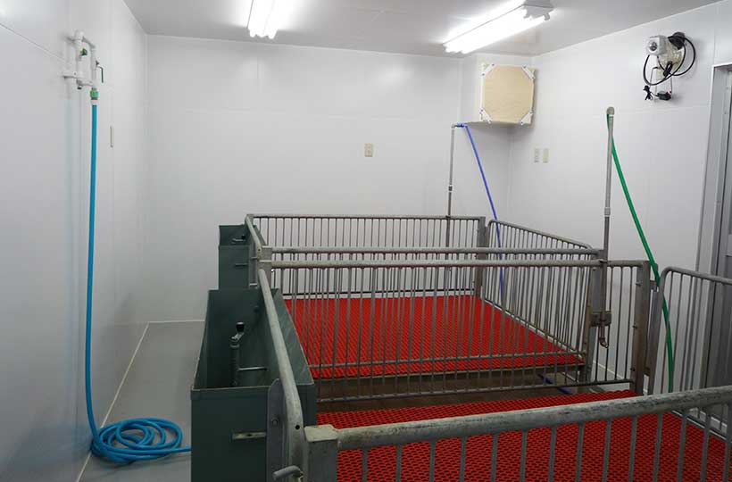 A111動物飼育室