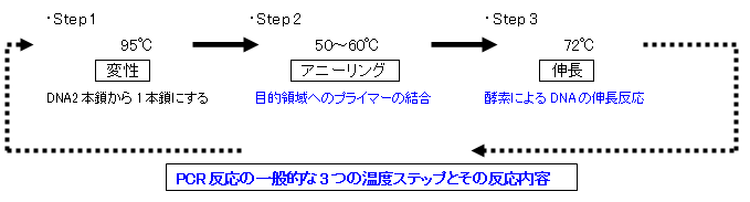 K90F2-240321 レア［家畜伝染病診断学 獣疫調査所技術者集団会編