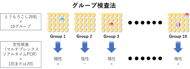 gmo画像3