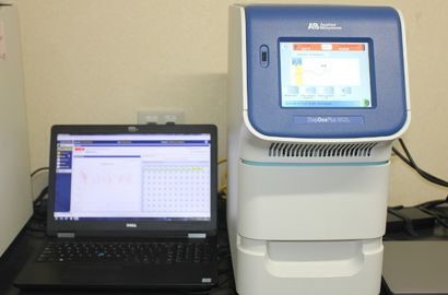 PCR室リアルタイムPCR