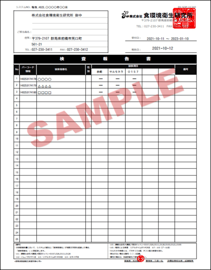 報告書例