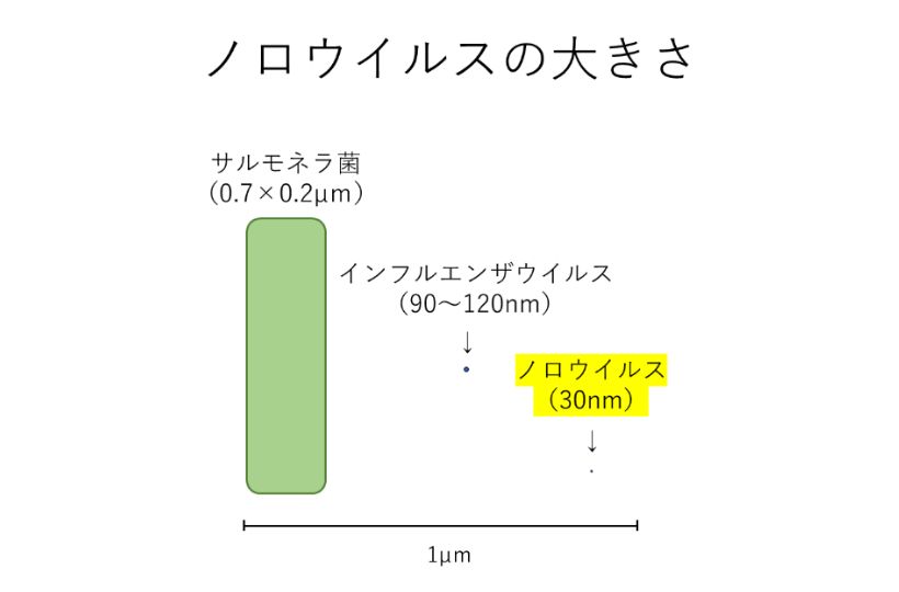 ノロウイルスの大きさ