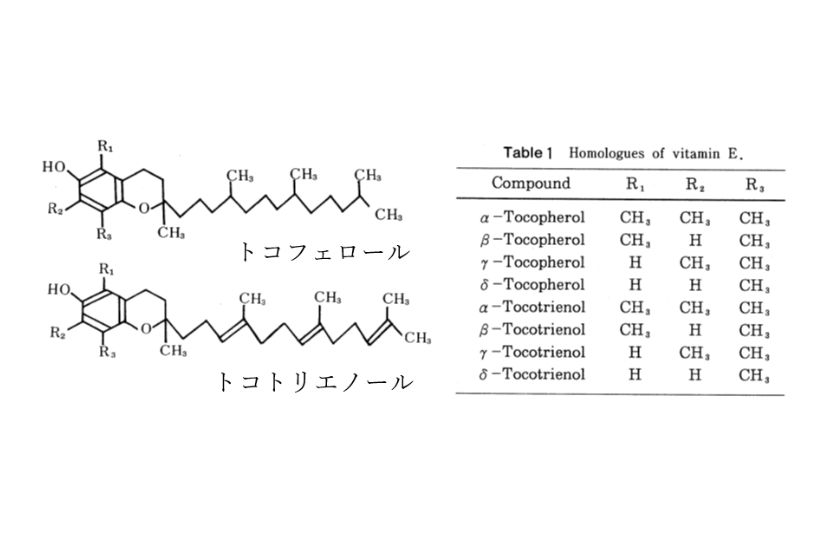 ビタミンEの構造
