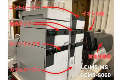 LCMS-8060
