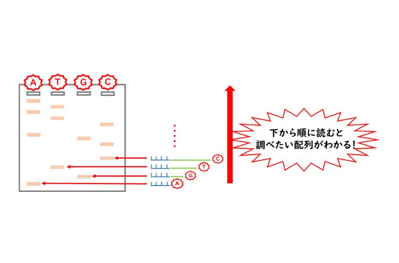 下から順に読むと