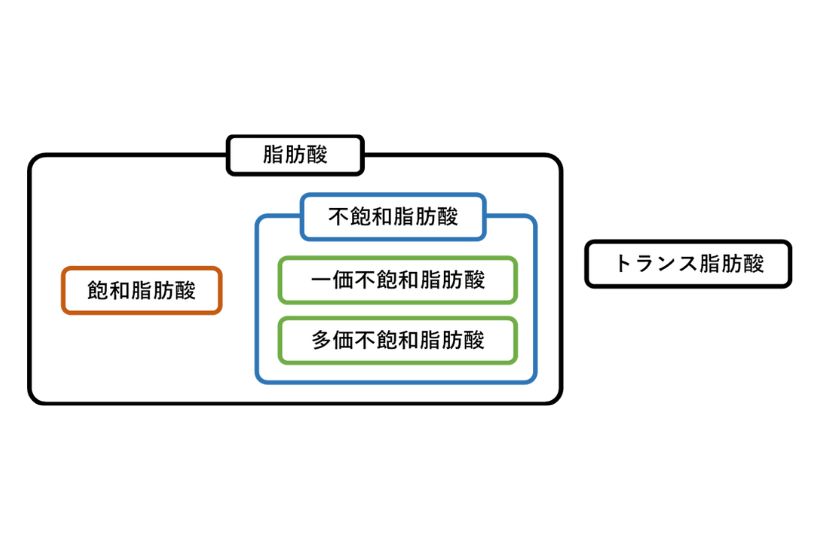 脂肪酸図