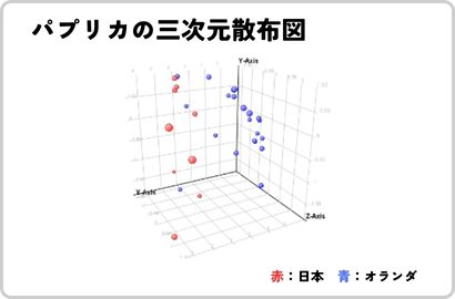 産地判別検査三次元散布図