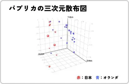 産地判別検査三次元散布図