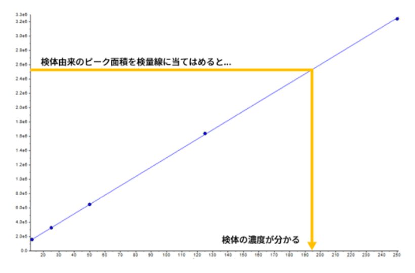 検体を測定して分析値を決定