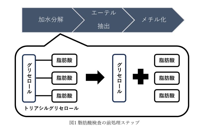 脂肪酸検査の前処理ステップ