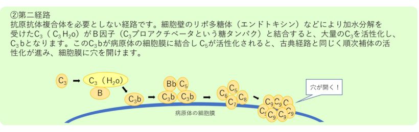 第二経路