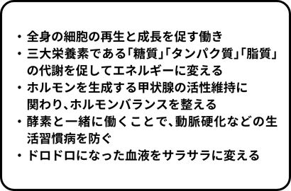 ビタミンB2の健康に欠かせない働き