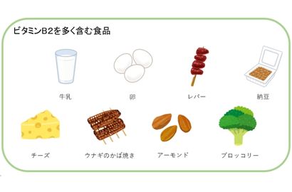 ビタミンB2が含まれている食品