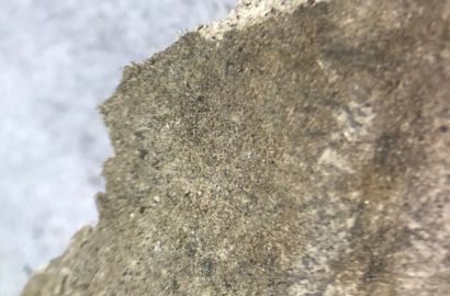 石綿含有セメント円筒　実体顕微鏡写真