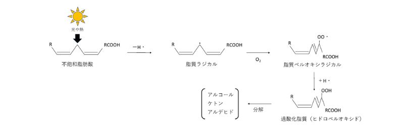 不飽和脂肪酸のラジカル連鎖反応による自動酸化の反応機構