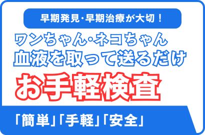 レプトスピラバナー