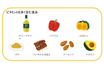 ビタミンEを多く含む食料