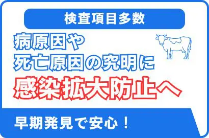 牛病性鑑定・微生物検査
