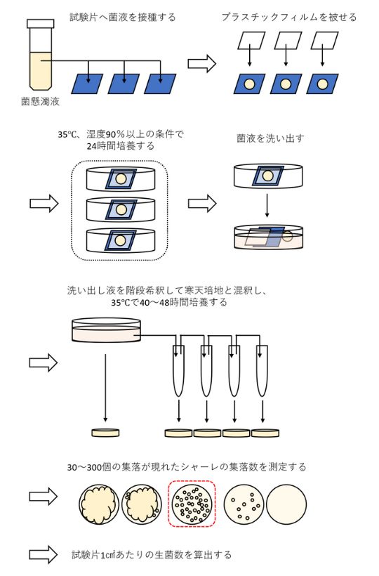 抗菌試験手順