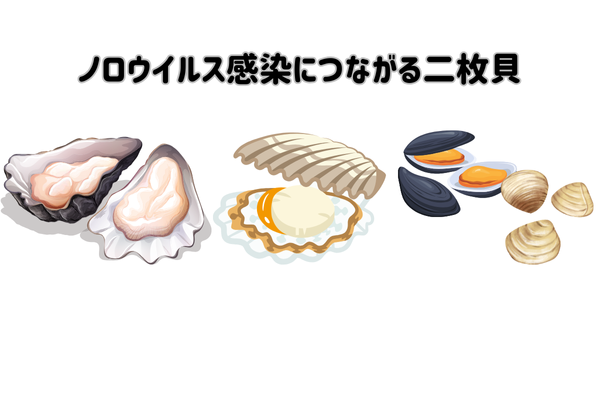 ノロウイルス二枚貝