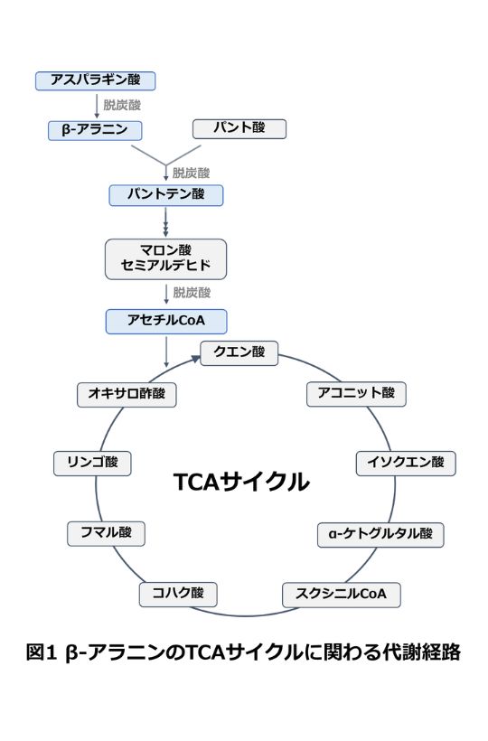 TCA