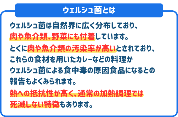 カレーの食中毒を起こすウェルシュ菌とは
