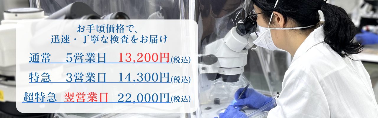 アスベスト