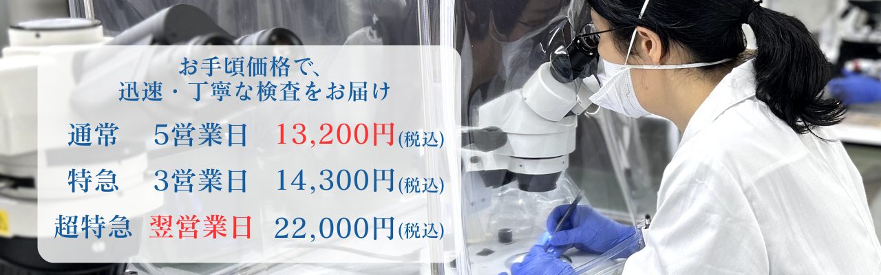 アスベスト