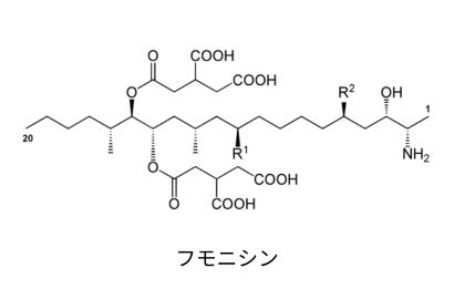 フモニシン