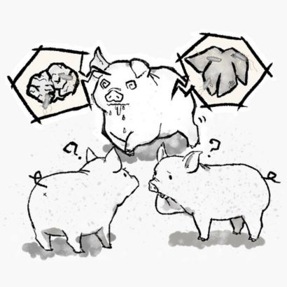 畜産におけるリステリアイメージ画像