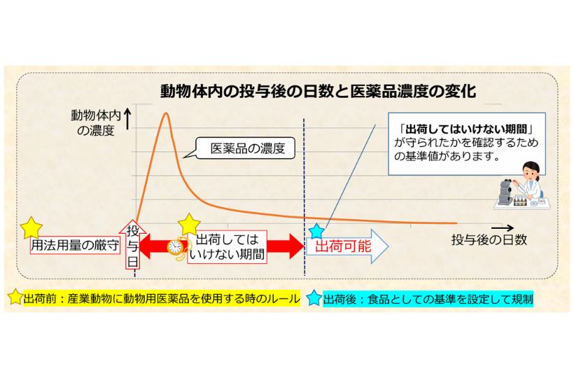 動物用医薬品を使った動物を食べても平気なの？