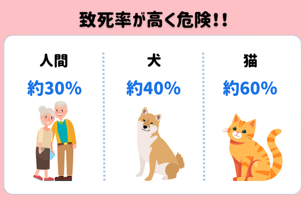 SFTS致死率