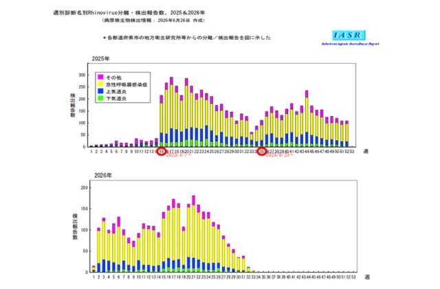 ライノウイルスコラム画像①