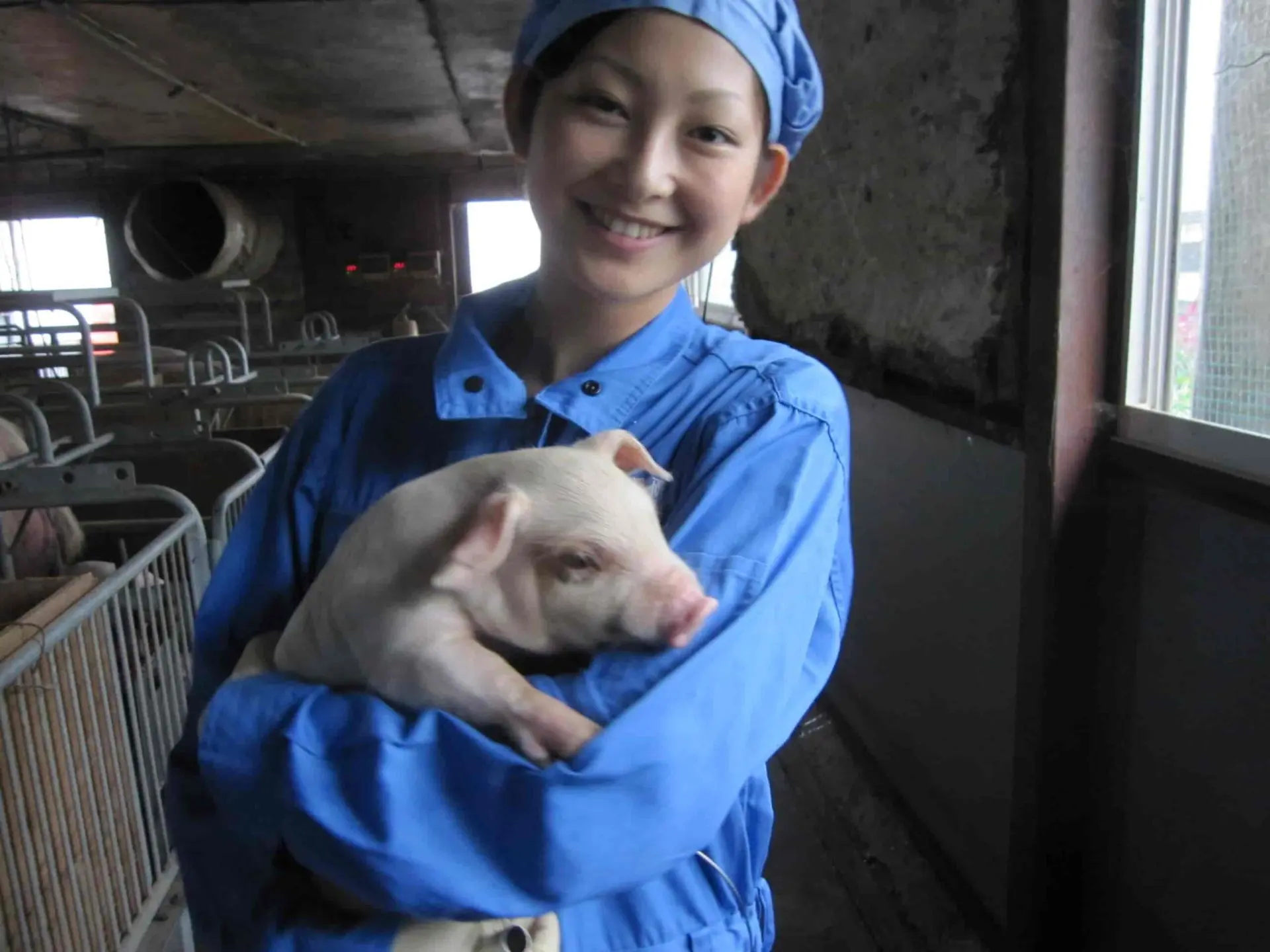 動物衛生コンサル事業部 | 食環境衛生研究所